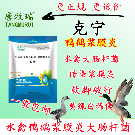 克宁鸭浆膜炎鹅大肠杆菌瘫痪瘸腿站不起来唐牧瑞禽医刘帆