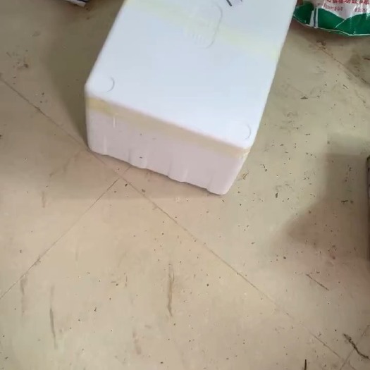 台山市山坑螺发货