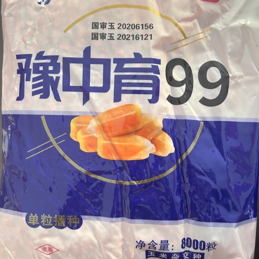 豫中育99玉米种子，三区国审，果穗多2行，产量更在行（现货）
