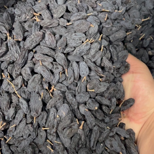 沧县黑加仑葡萄干 新货 100粒