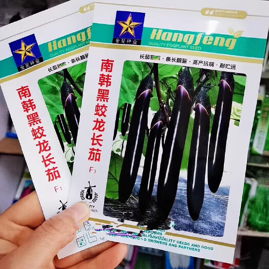 南韩黑蛟龙长茄种子，黑长茄种子，基地专用，条长靓丽，抗病强