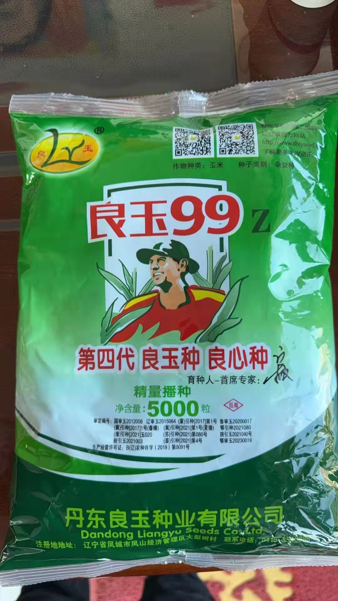 良玉99玉米品种简介图片