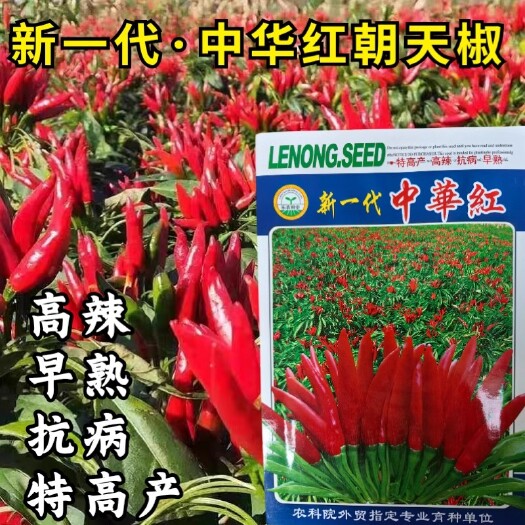 新一代中华红朝天椒种子，小米椒种子，色深油亮，高辣型，抗病