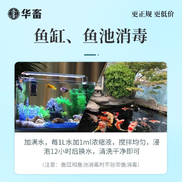 高锰酸钾消毒液鱼缸消菌净水剂植物养殖场溶液水质调节剂