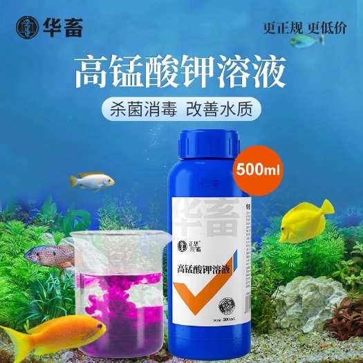 高锰酸钾消毒液鱼缸消菌净水剂植物养殖场溶液水质调节剂