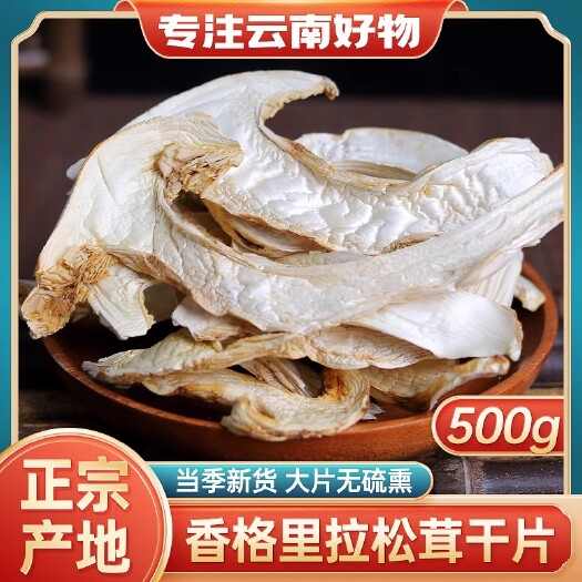 云南雪山松茸干货500g外生长精选干片新鲜菌菇松茸菇云南菌