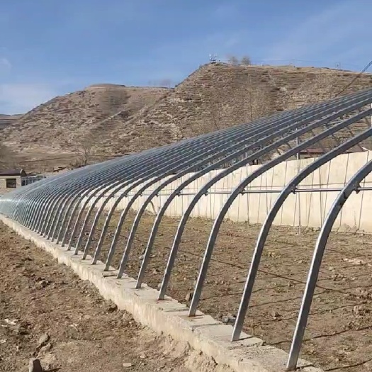 南皮县日光温室大棚，造价美丽，实用性强，免费设计，出图纸出报价