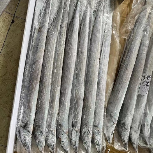 青岛印尼单冻，独立套装细网A