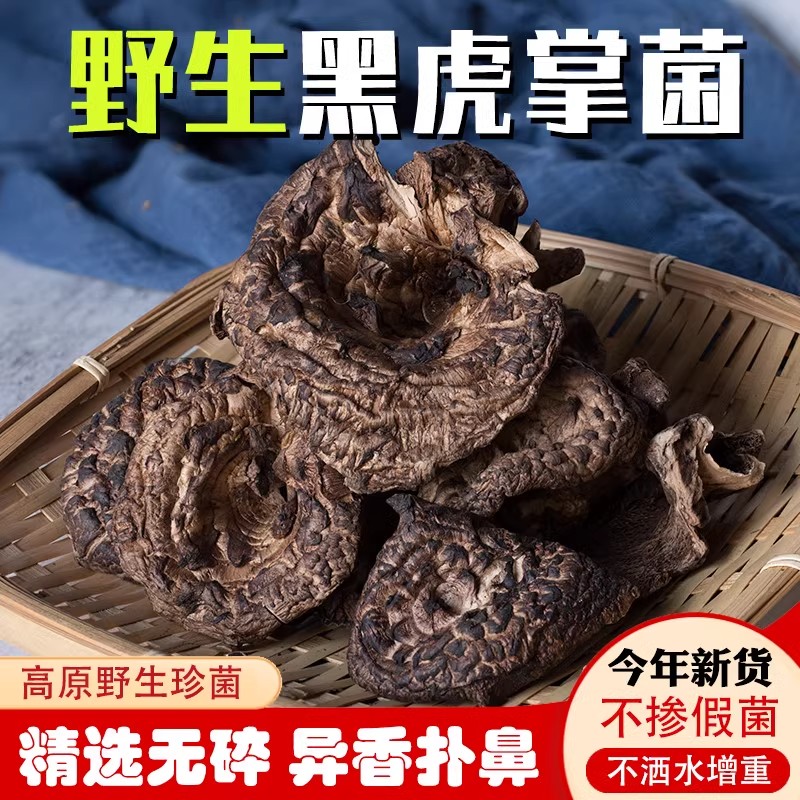 昆明新货野生黑虎掌菌干货2023云南楚雄煲汤菌菇菌类蘑菇非獐子菌