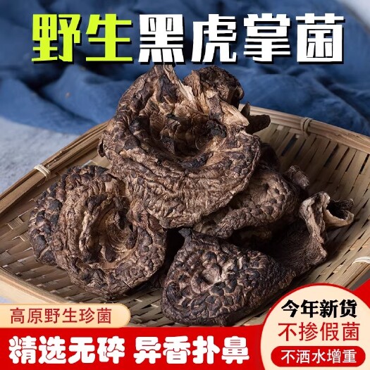 昆明新货野生黑虎掌菌干货2023云南楚雄煲汤菌菇菌类蘑菇非獐子菌