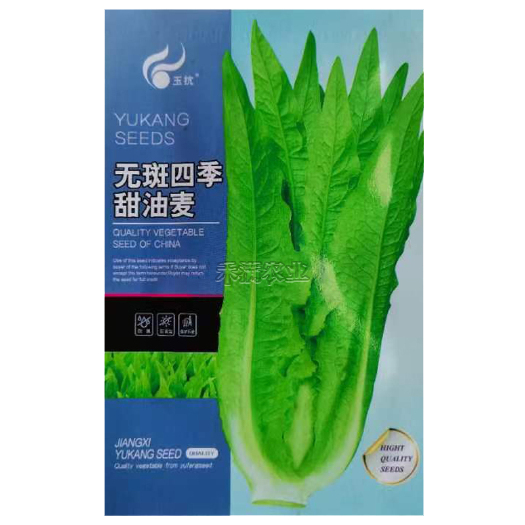 速生油麦菜种子四季香油麦菜种籽阳台耐寒青菜春秋季农家蔬菜种子