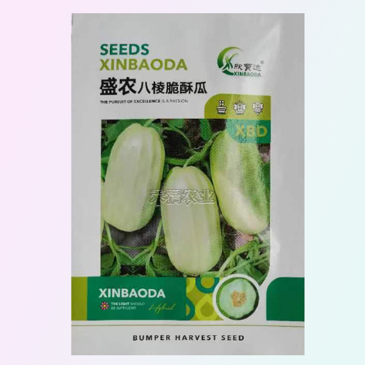 武汉早熟八棱脆瓜种子香酥菜瓜烧瓜生吃蔬菜种子籽孑无糖黄河脆一窝猴
