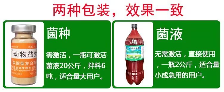 益富源动物益生菌禽用保护肠道消化吸收好活性菌养鸡喂猪喂羊