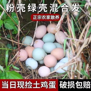 京山市新鲜土鸡蛋高山自家林下散养五谷土鸡蛋