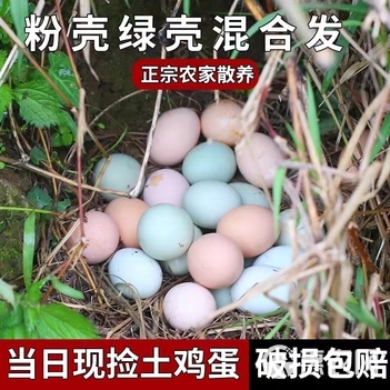 新鲜土鸡蛋高山自家林下散养五谷土鸡蛋
