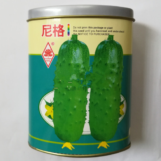 水果黄瓜种子 尼格 唐山秋瓜 瓜皮翠绿口感清香 大田高产黄瓜