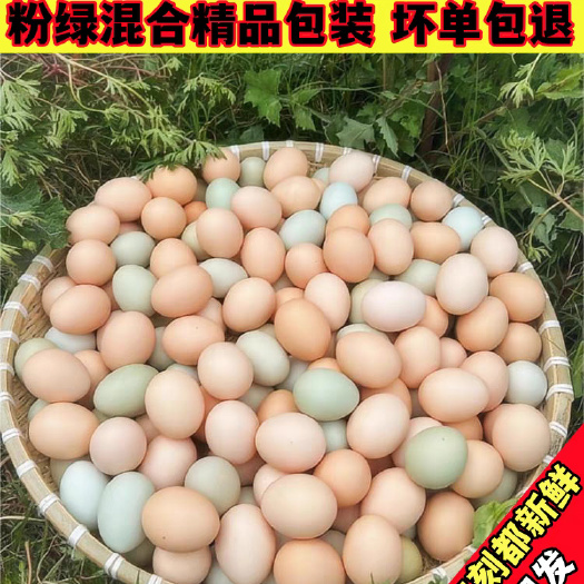 京山市包邮 土鸡蛋 散养土鸡蛋 虫草鸡蛋 客户样品体验