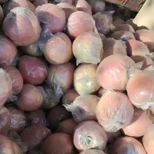 阳谷县红富士苹果，量大