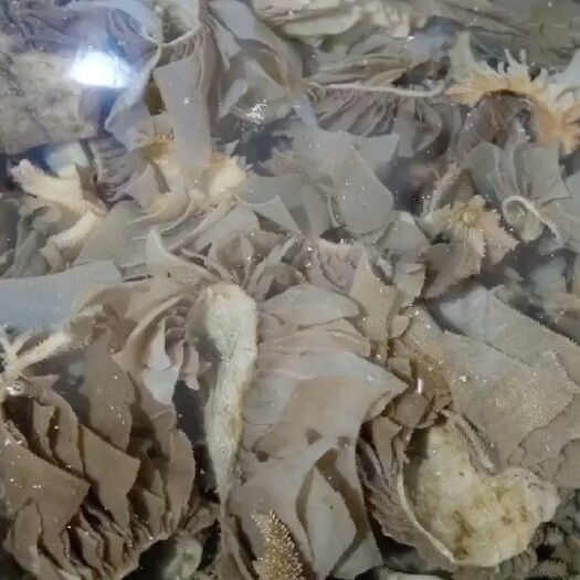 彭州市黑色大边角