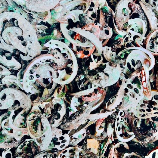 黄金鲍鱼壳碎料粉体 中药材石决明颗粒，小颗粒免费送样本