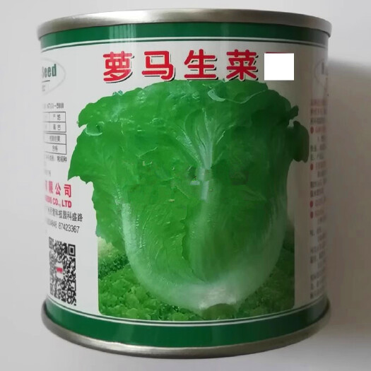 洛阳鸿海罗马生菜种子 理想401生菜种子 四季播意大利生菜 脆嫩