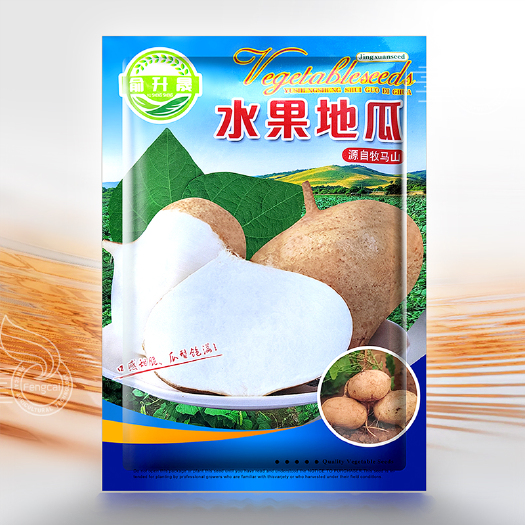绵阳水果地瓜种子 凉薯种籽 四川牧马山地瓜种籽 不包衣