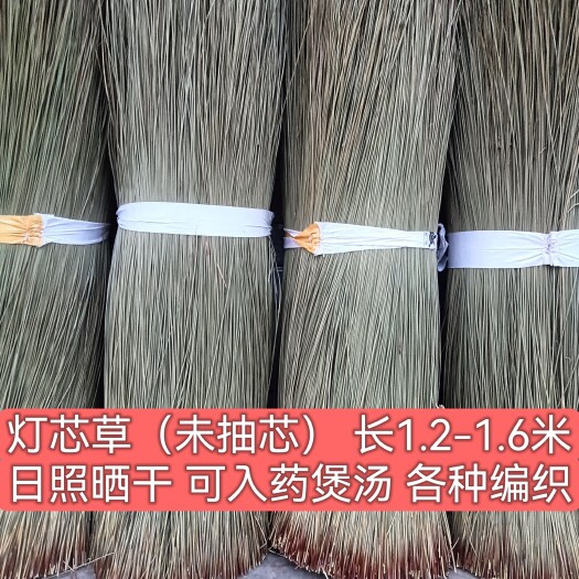 抚州带芯｛灯芯草｝干草中药材长1-1.6米灯草 做灯草席入药