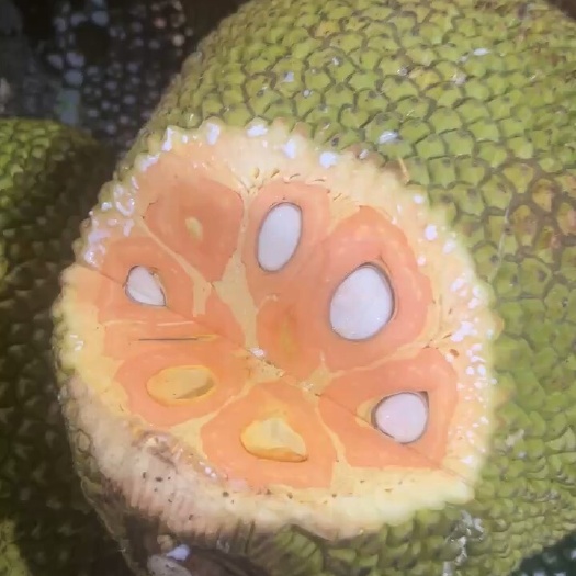 凭祥市产地直销越南印尼红菠萝蜜