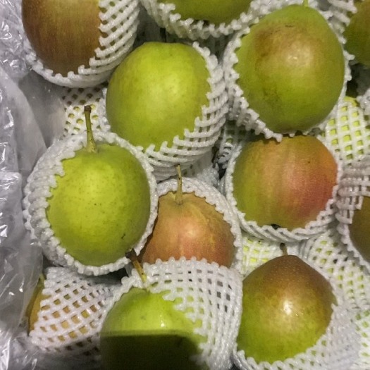 赵县雪花梨，皇冠梨，红香酥。新梨七号，秋月