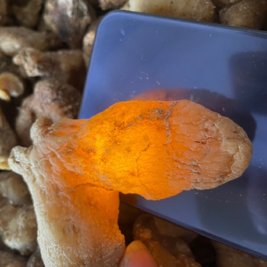 凤凰县黄精干货
