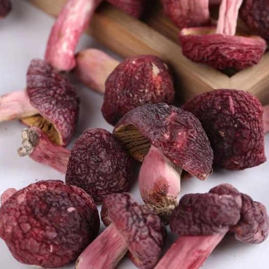 亳州紅蘑丁松樹(shù)傘肉蘑東北特產(chǎn)遼朝陽(yáng)寧精品野生蘑菇自然晾曬干貨新貨