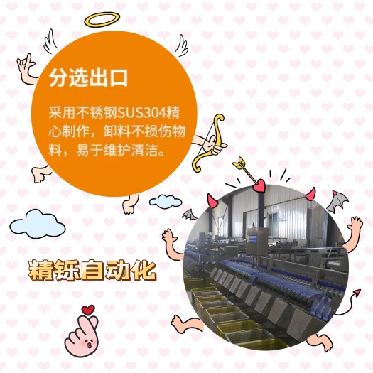 诸城市分级机分选机分拣机