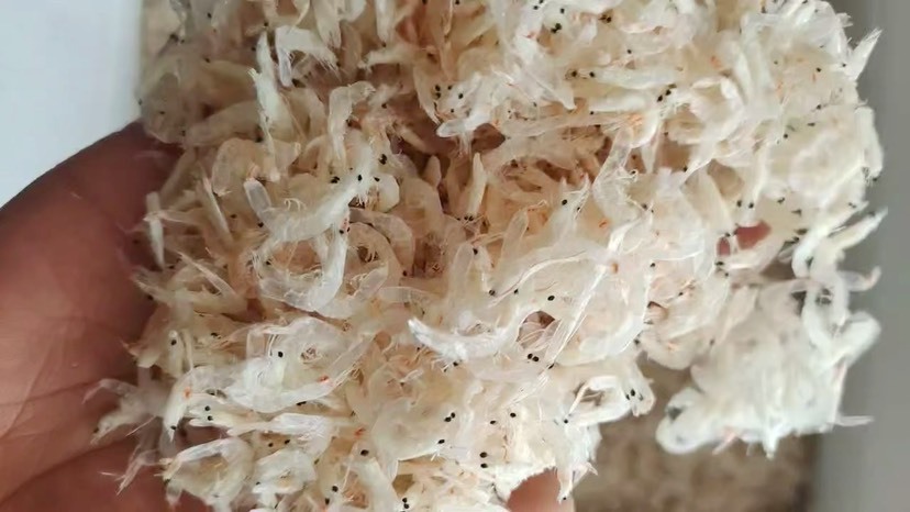 滨州低盐淡干虾皮，炒菜做汤，包水饺做混沌