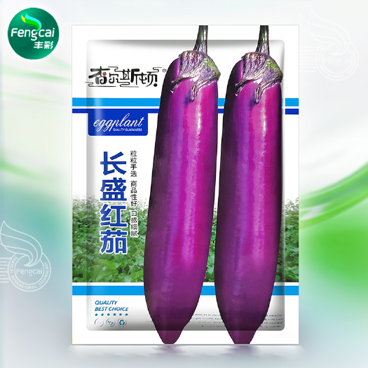 紫红长茄种子 长盛红茄杂交种 高抗病型 口感细腻