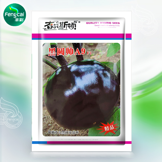 黑元帅A9圆茄种子 杂交一代最新改良黑圆茄品种精品