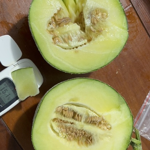 乐东县网纹
