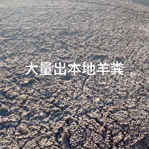 雷州市纯羊粪