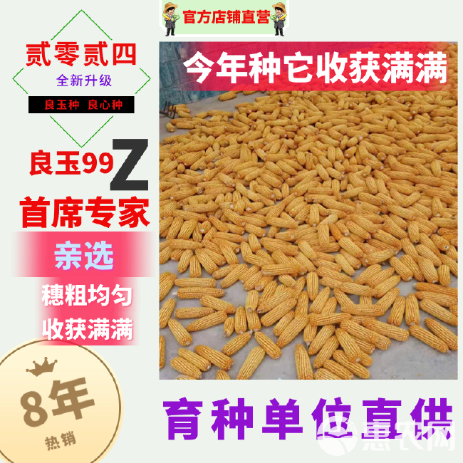 丹东原装正品良玉99玉米种良玉99Z第四代玉米种子抗倒出产量