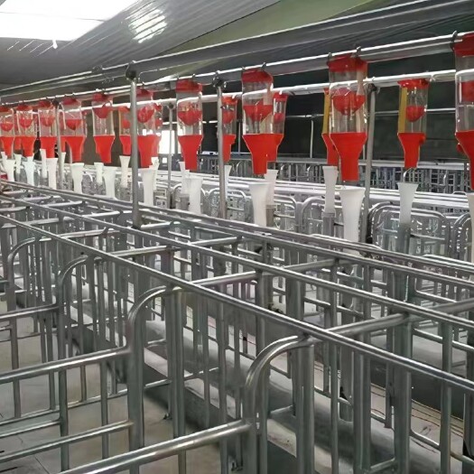 长沙猪场自动化饲料喂料线蛟龙料线塞盘料线