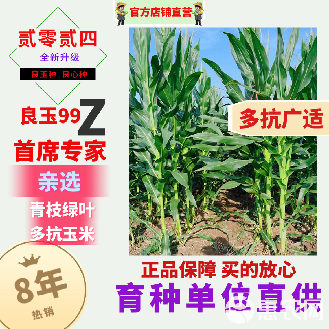 丹东良玉99Z玉米种子原装第四代国审耐旱高抗倒吨粮型包邮正品
