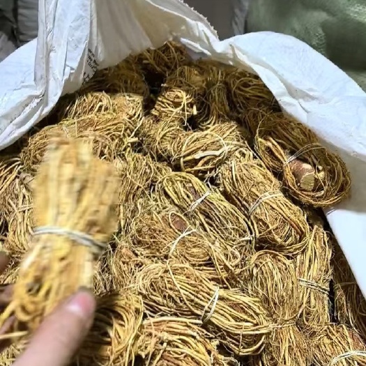 五指毛桃根