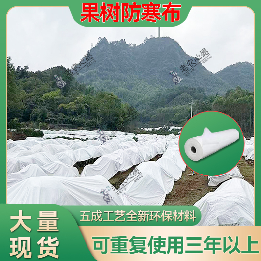 东莞市柑橘防寒布果树保温布园艺防霜果园茶树防冻布沃柑保温布