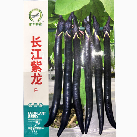 寿光市黑线茄种籽 紫龙紫黑长茄种子中早熟 杂交大田春季四季