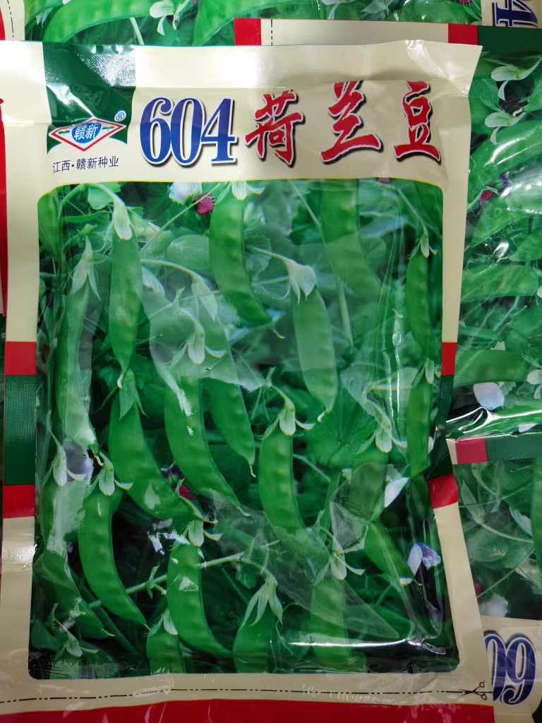 604荷兰豆种子，大荚荷兰豆种子，香甜脆嫩，无渣爽口荚大肉厚