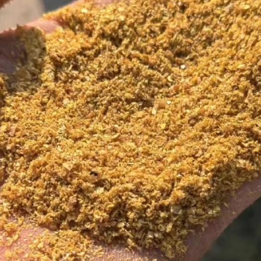 南阳干酒糟及其可溶物（DDGS）