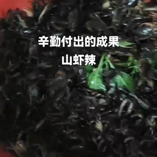 新兴县需要山螃蟹的朋友，欢迎订购，货源充足。