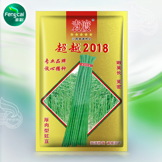 绵阳绿肉豇豆种子肉厚型 长豆角种籽 中上层挂果集中 耐热耐贫瘠