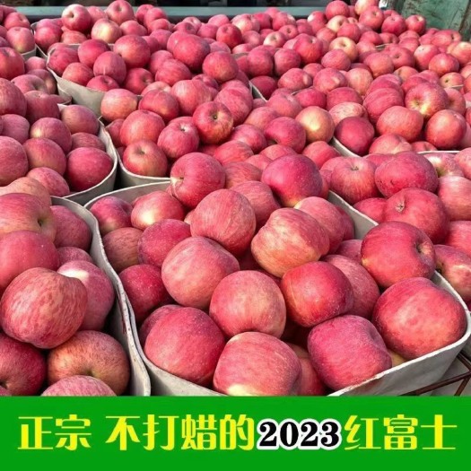 洛川县【产地直发】陕西洛川红富士苹果当地新鲜水果脆甜整箱批发水果基