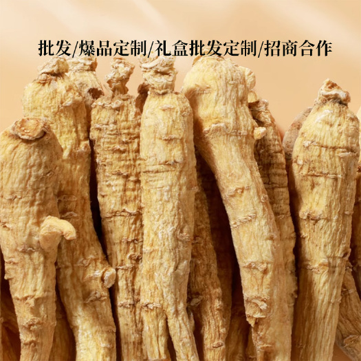 广州西洋参批发-批发价格加拿大西洋参 精选尖尾3-7g