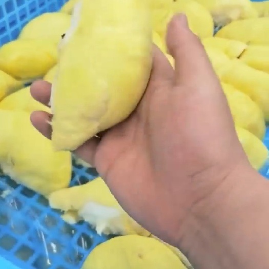 本溪泰国金枕榴莲